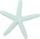 Big star | Corpus Christi, TX | Coastal Glo Med Spa