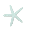 Small Star | Corpus Christi, TX | Coastal Glo Med Spa